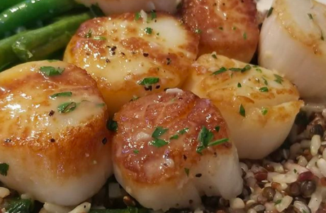 garlic butter scallops